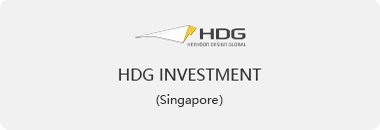 HDG INVESTMENT